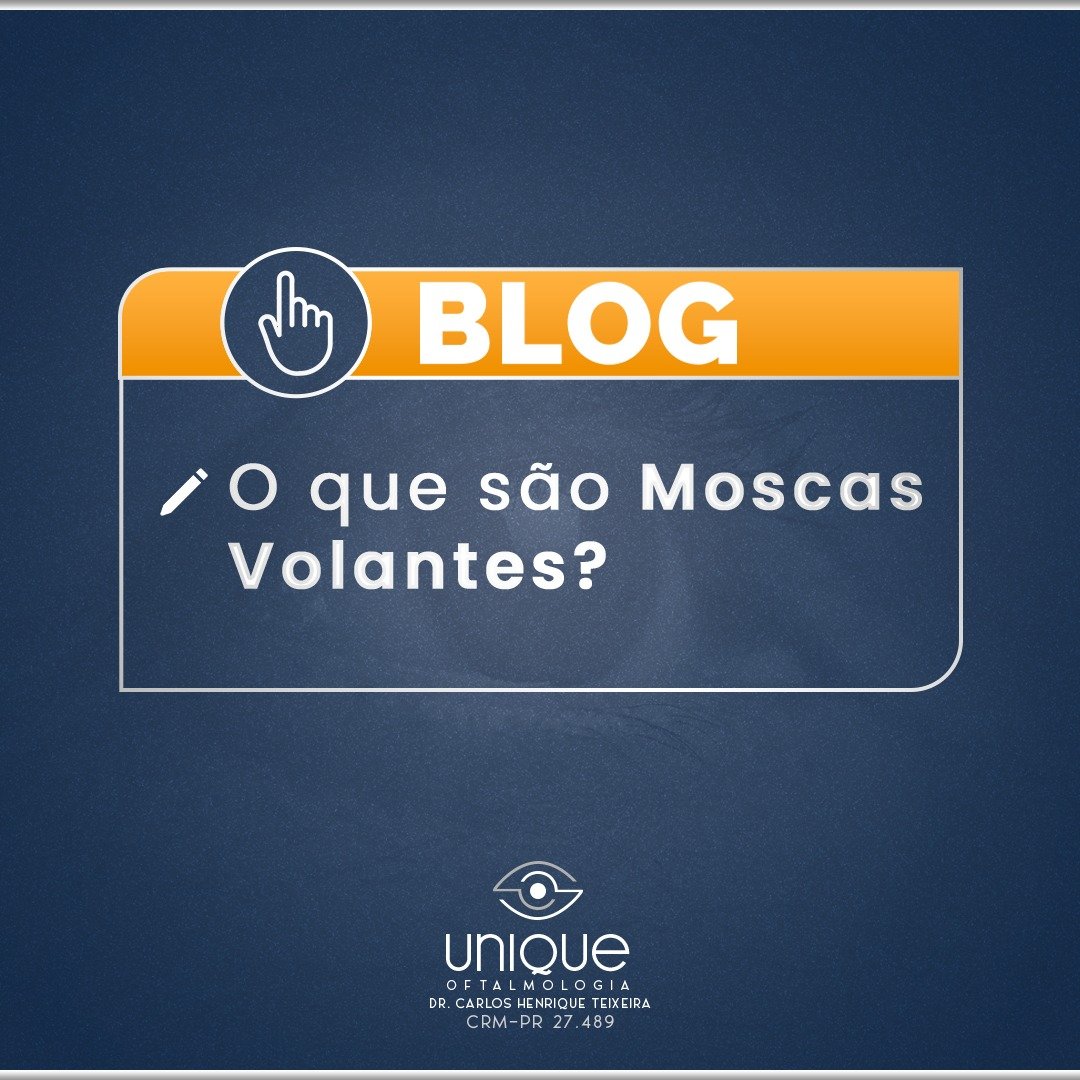 O que são moscas volantes?